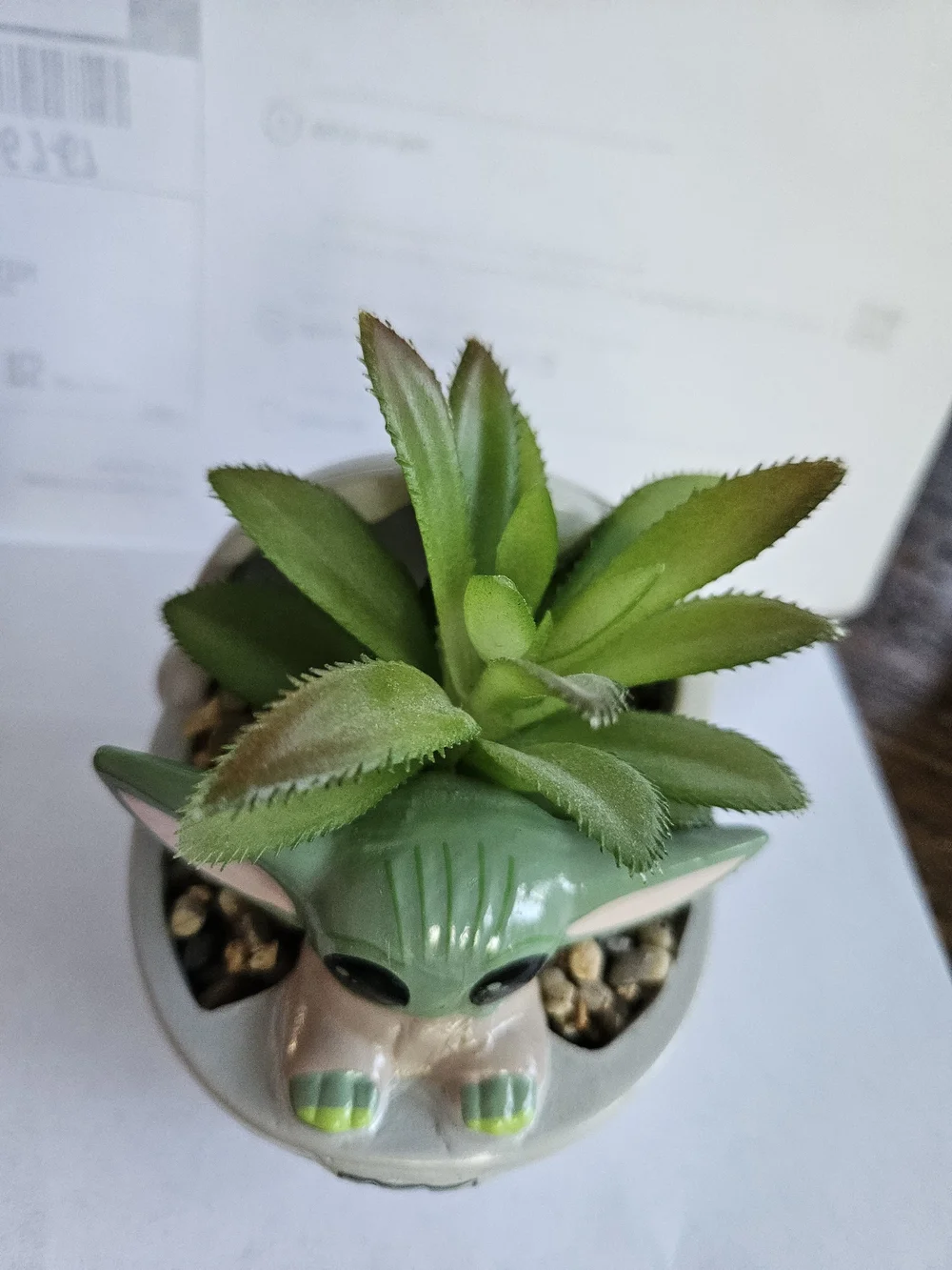 Starwars Ceramic Planter